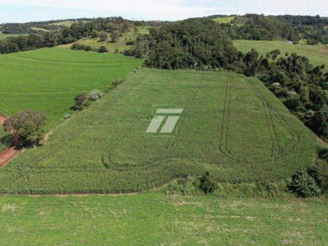 Sítio e chácara venda em Região Geográfica Imediata de Cascavel, Cascavel