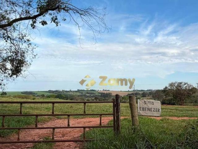 Sítio e chácara venda em Jardim Brasil, Nova Esperança