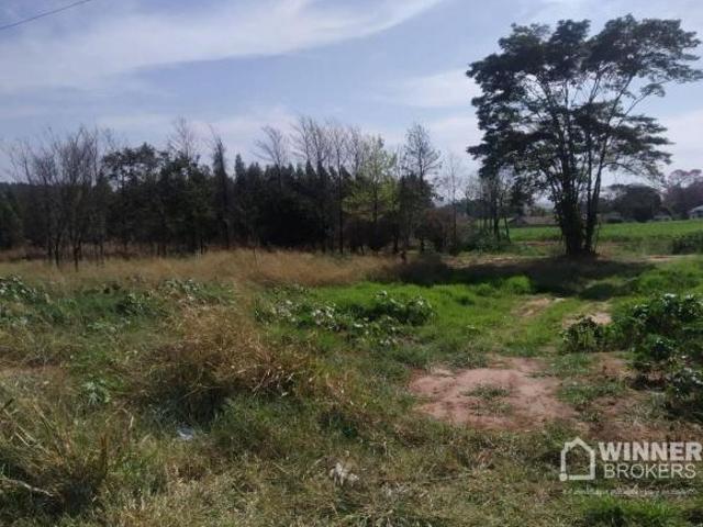 Sítio e chácara venda em Jardim Brasil, Nova Esperança