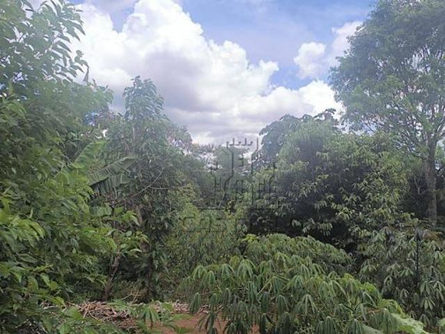 Sítio e chácara venda em Região Geográfica Imediata de Londrina, Londrina