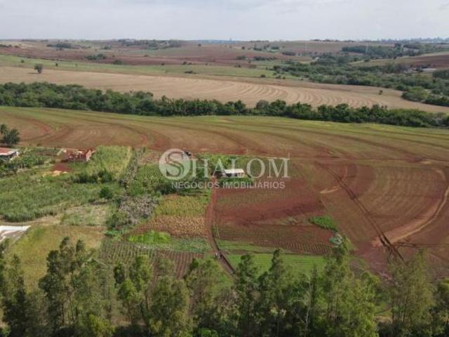 Sítio e chácara venda em Região Geográfica Imediata de Maringá, Maringá