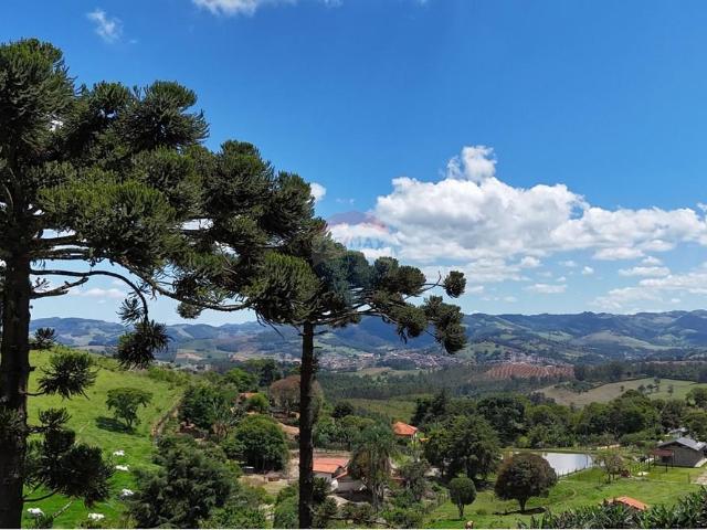 Sítio e chácara venda em Região Imediata de Bragança Paulista, Pedra Bela