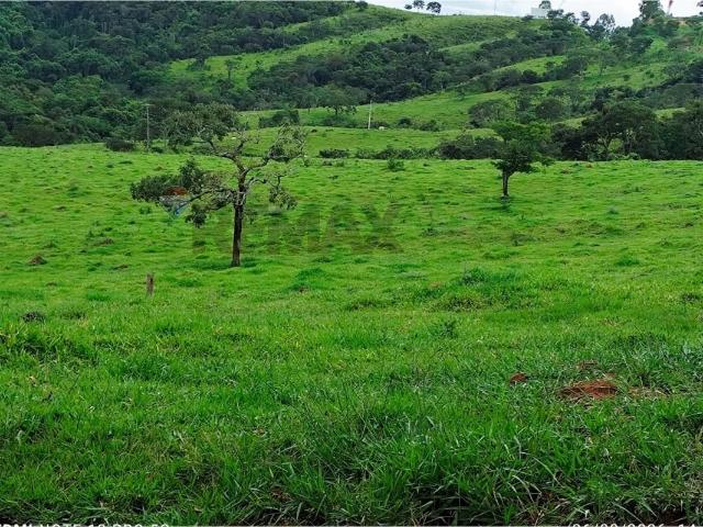 Sítio e chácara venda em Região Geográfica Imediata de Divinópolis, Pedra do Indaiá