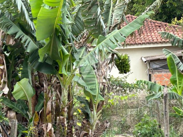 Sítio e chácara venda em Piedade, São Paulo
