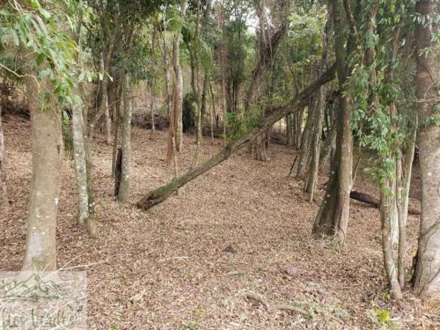 Sítio e chácara venda em Região Imediata de Bragança Paulista, Pinhalzinho