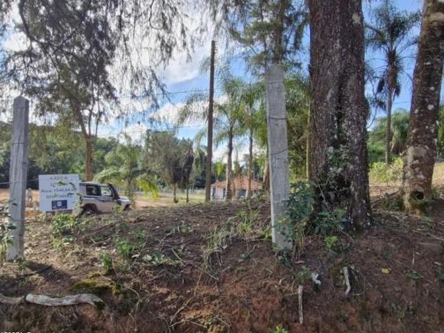 Sítio e chácara venda em Nucleo Habitacional José Eduardo de Godoi, Pinhalzinho
