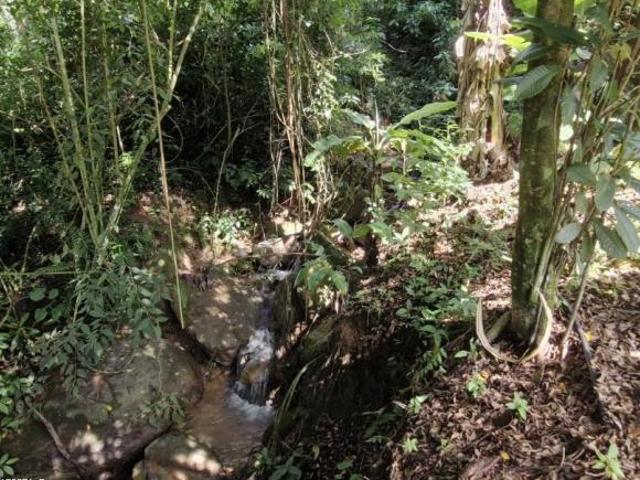 Sítio e chácara venda em Região Imediata de Amparo, Monte Alegre do Sul