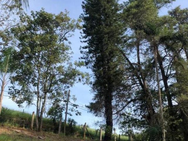 Sítio e chácara venda em Loteamento Altos do Pinhal, Pinhalzinho