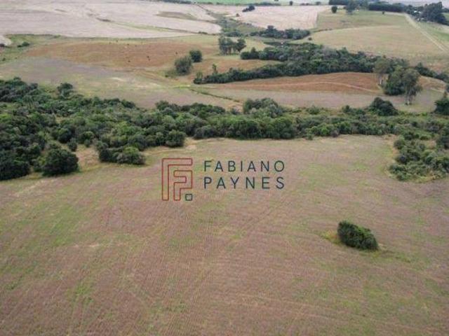 Sítio e chácara venda em Região Geográfica Imediata de Santa Maria, Santa Maria