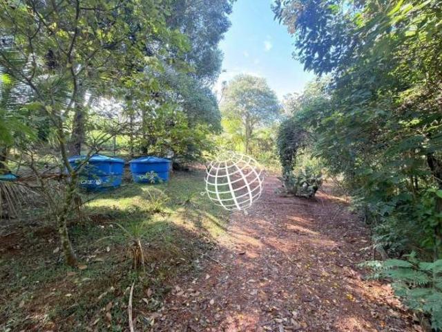 Sítio e chácara venda em Piracaia
