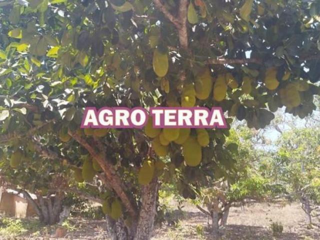 Sítio e chácara venda em Região Geográfica Imediata do Distrito Federal, Região Integrada de Desenvolvimento do Distrito Federal e Entorno