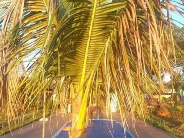 Sítio e chácara venda em Rosana