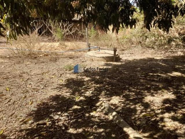 Sítio e chácara venda em Região Geográfica Imediata de Luziânia, Região Integrada de Desenvolvimento do Distrito Federal e Entorno