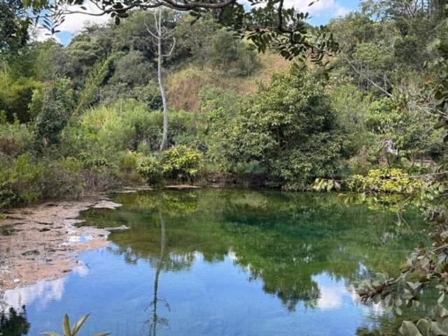 Sítio e chácara venda em Região Geográfica Imediata do Distrito Federal, Região Integrada de Desenvolvimento do Distrito Federal e Entorno