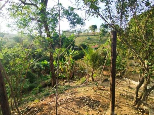 Sítio e chácara venda em Região Geográfica Imediata de Belo Horizonte, Região Metropolitana de Belo Horizonte