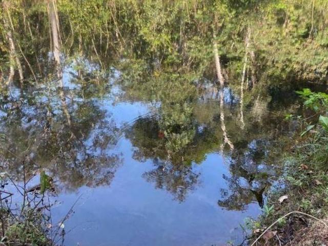 Sítio e chácara venda em Região Geográfica Imediata de Sorriso, Sorriso