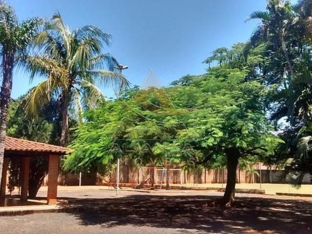 Sítio e chácara venda em Recreio Internacional, Ribeirão Preto