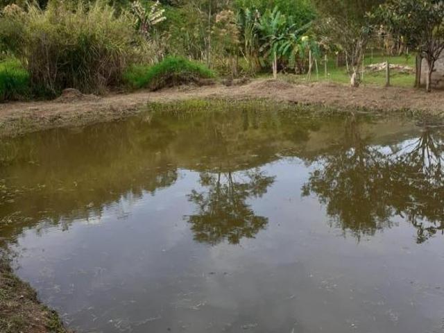 Sítio e chácara venda em Alto Alegre do Maranhão, Região Nordeste