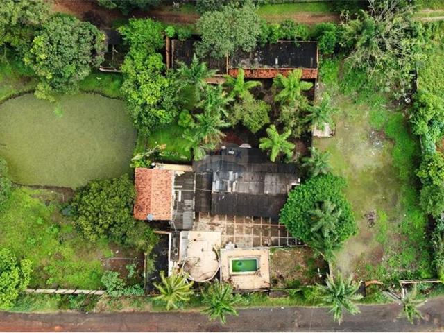 Sítio e chácara venda em Região Imediata de Ribeirão Preto, Região Metropolitana de Ribeirão Preto