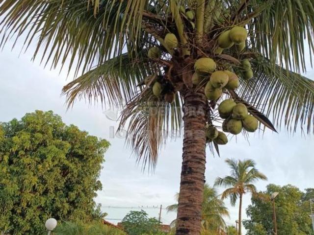 Sítio e chácara venda em Região Imediata de São José do Rio Preto, Região Metropolitana de São José do Rio Preto