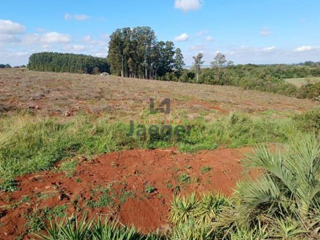 Sítio e chácara venda em São Luiz Gonzaga