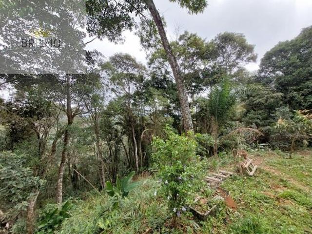 Sítio e chácara venda em Região Imediata de Amparo, Serra Negra