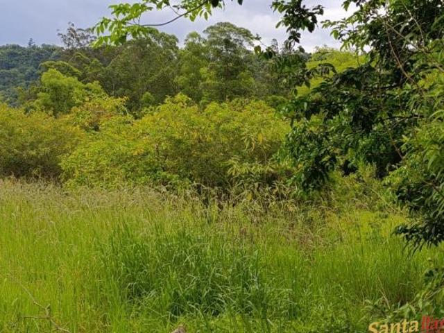Sítio e chácara venda em Região Geográfica Imediata de Santa Cruz do Sul, Santa Cruz do Sul