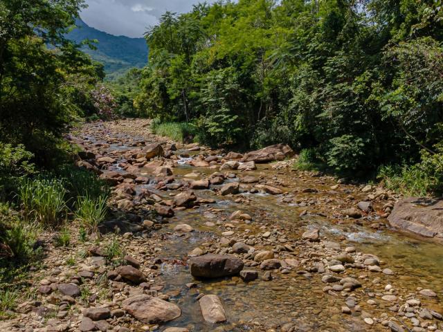 Sítio e chácara venda em Região Geográfica Imediata de Paranaguá, Morretes