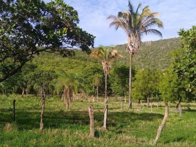 Sítio e chácara venda em Região Geográfica Imediata de Águas Lindas de Goiás, Região Integrada de Desenvolvimento do Distrito Federal e Entorno