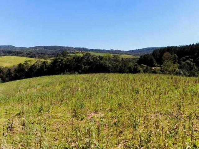 Sítio e chácara venda em Região Geográfica Imediata de Curitiba, Região Metropolitana de Curitiba