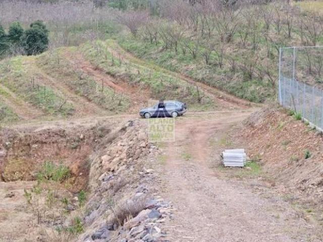 Sítio e chácara venda em Região Geográfica Imediata de Caxias do Sul, Caxias do Sul