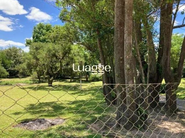 Sítio e chácara venda em Sítio Campo Grande, Viamão