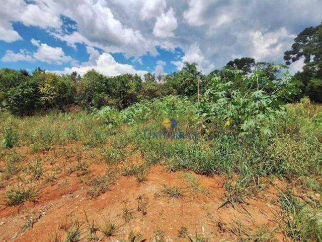 Sítio e chácara venda em Região Geográfica Imediata de Curitiba, Região Metropolitana de Curitiba