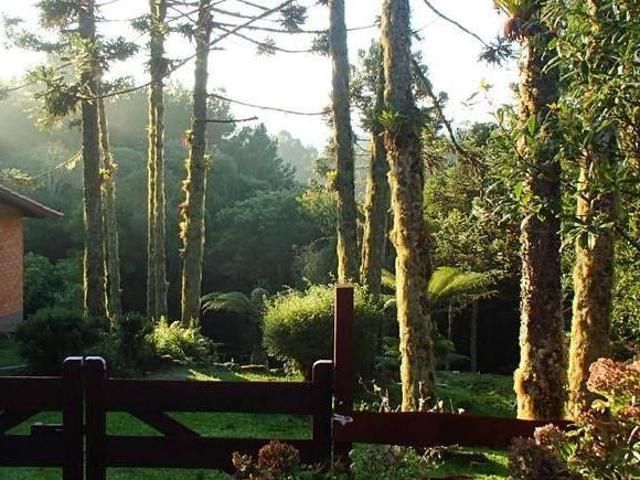 Sítio e chácara venda em Região Geográfica Imediata de Caxias do Sul, São Francisco de Paula