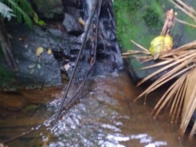 Sítio e chácara venda em São José dos Campos