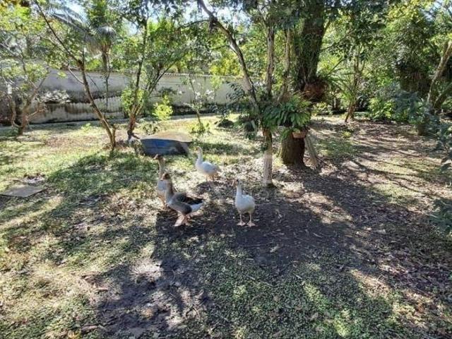 Sítio e chácara venda em Vila São João, Bertioga