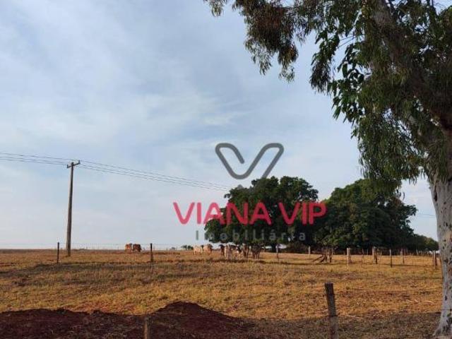 Sítio e chácara venda em Região Imediata de Dracena, São João do Pau d'Alho