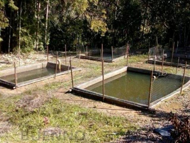 Sítio e chácara venda em Região Imediata de São José dos Campos, Região Metropolitana do Vale do Paraíba e Litoral Norte