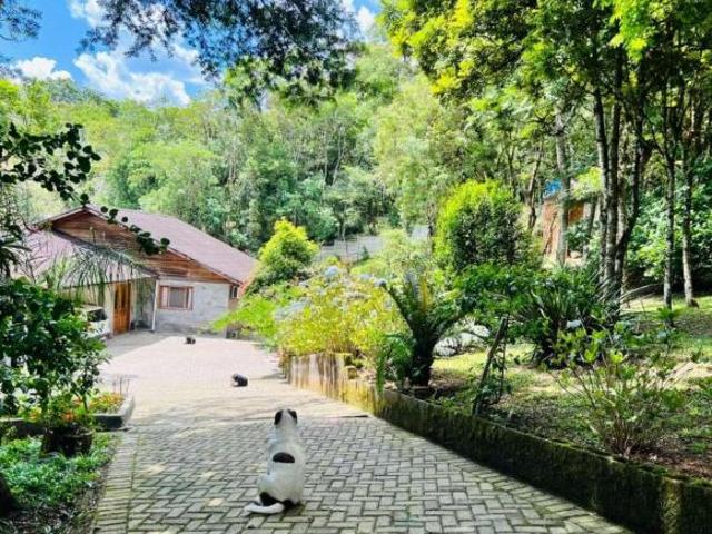 Sítio e chácara venda em Região Geográfica Imediata de Curitiba, Região Metropolitana de Curitiba