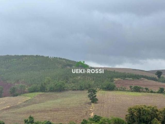Sítio e chácara venda em São Luiz, Londrina