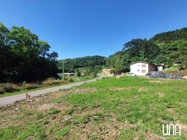 Sítio e chácara venda em São Pedro, Bento Gonçalves