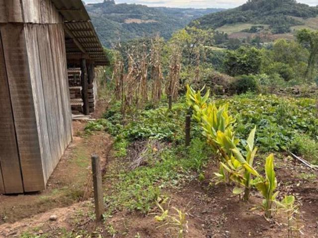 Sítio e chácara venda em Região Geográfica Imediata de Caxias do Sul, Caxias do Sul