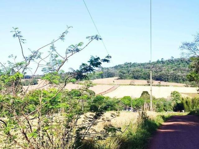 Sítio e chácara venda em São Salvador, Cascavel