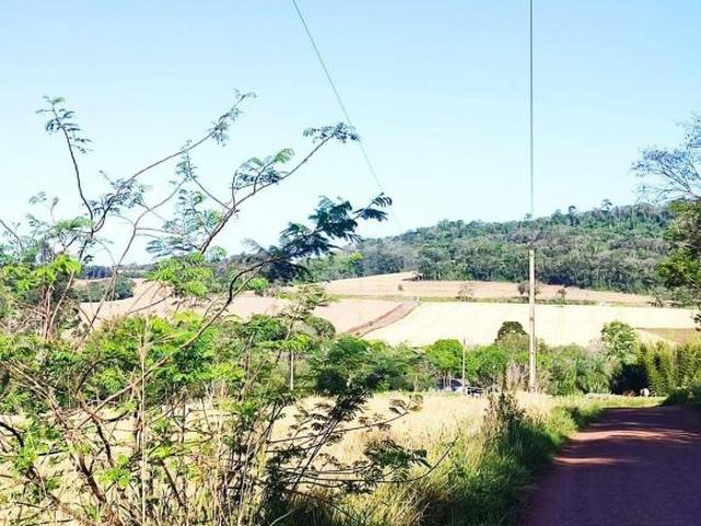 Sítio e chácara venda em Região Geográfica Imediata de Cascavel, Cascavel