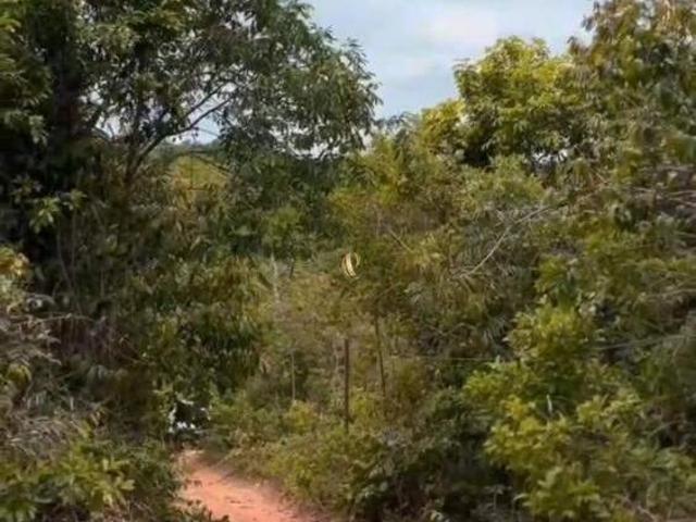 Sítio e chácara venda em Região Geográfica Imediata de Belo Horizonte, Região Metropolitana de Belo Horizonte