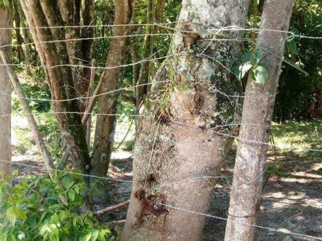 Sítio e chácara venda em Região Imediata de São Paulo, Região Metropolitana de São Paulo