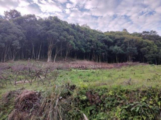 Sítio e chácara venda em Região Geográfica Imediata de Caxias do Sul, Caxias do Sul