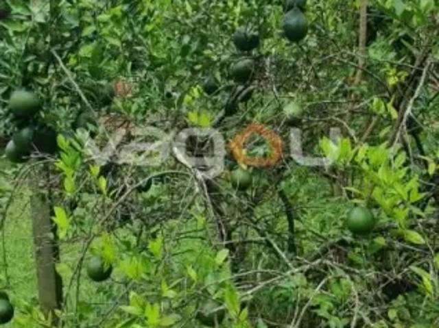 Fazenda venda em Região Imediata de Sorocaba, Região Metropolitana de Sorocaba