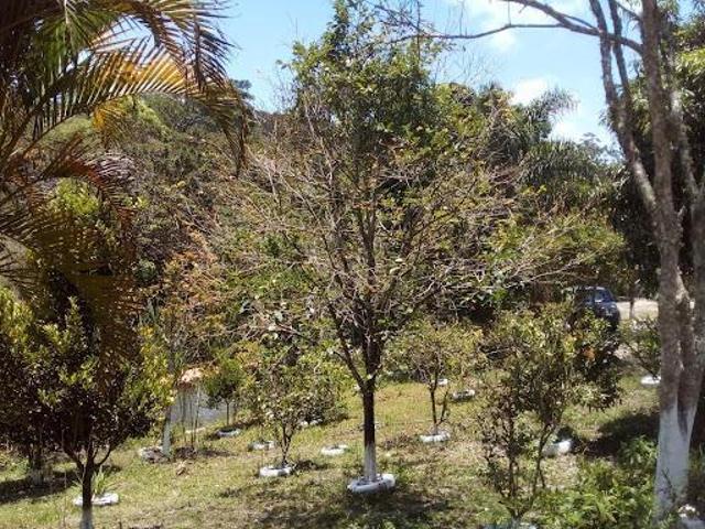Sítio e chácara venda em Santa Branca