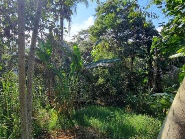 Sítio e chácara venda em Região Imediata de São José dos Campos, Região Metropolitana do Vale do Paraíba e Litoral Norte
